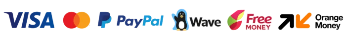 Visa, Mastercard, PayPal, Wave, Free Money and Orange Money