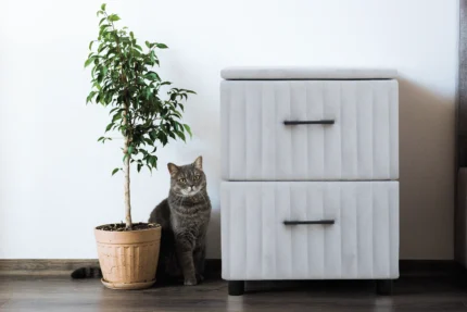 Bedside Table CHEVET