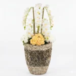 Jardinières en forme de coquillage en fibre de verre, grands vases d'intérieur pour la maison, design créatif, revêtement époxy, style européen, avec une sélection de fleurs harmonieuses – Image 2