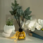 MELON 120 ML "lORIS" Reed Diffuser – Image 3